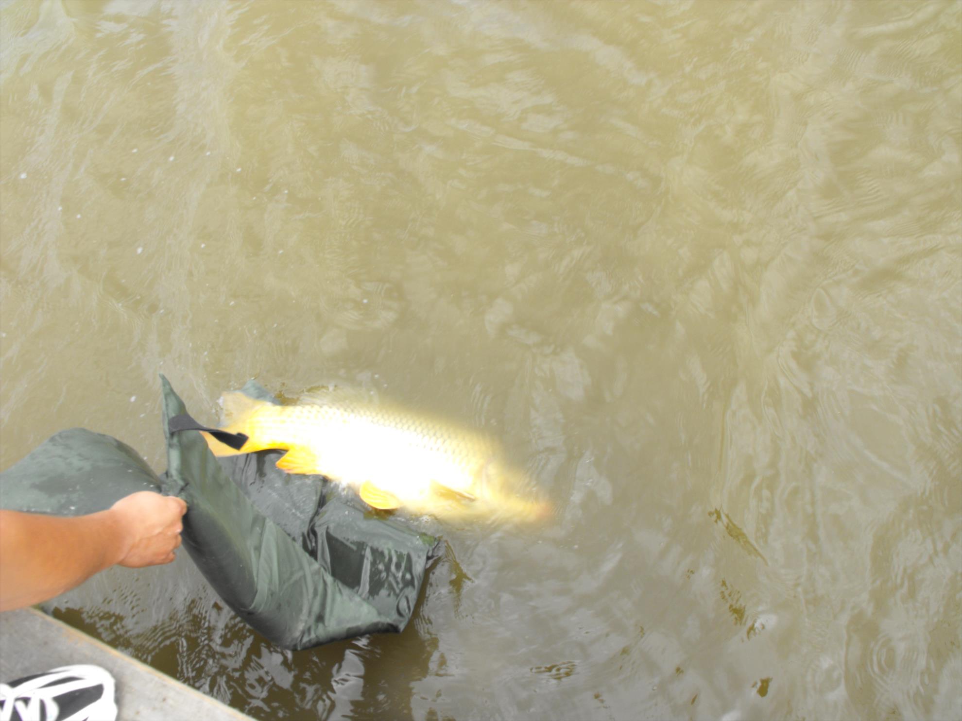 Magura 9, 25.09.2011 - picture-031.jpg